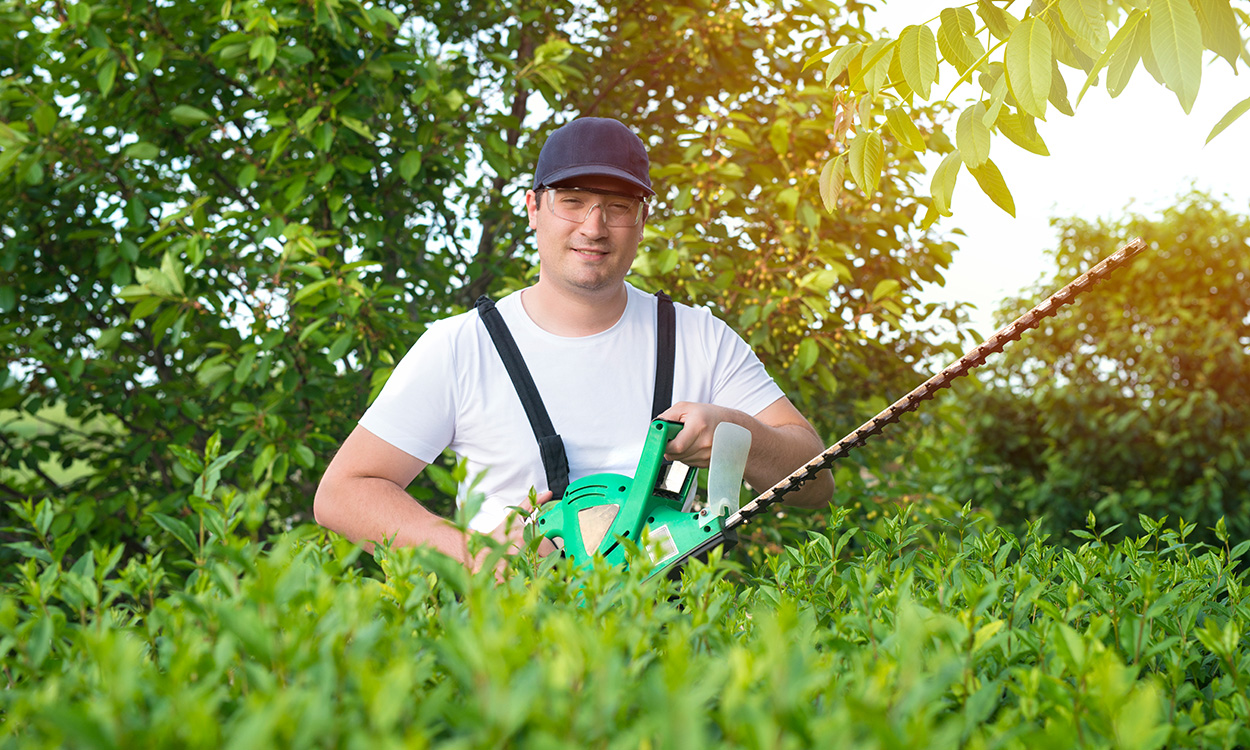 Gartenpflegen